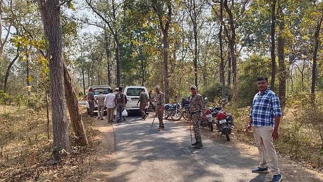 दुचाकीस्वारांवर वाघाचा हल्ला; दोघे जखमी